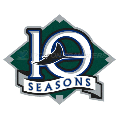 Tampa Bay Rays Iron-on Stickers (Heat Transfers)NO.1947